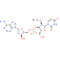 Inarigivir
