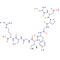 Laminin (925-933)