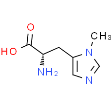 3-Methyl-L-histidine