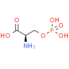 O-Phospho-D-Serine