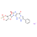 Rp-8-Br-PET-cGMPS