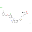 GW 583340 dihydrochloride