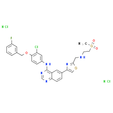 GW 583340 dihydrochloride