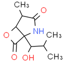 Clasto-Lactacystin β-lactone