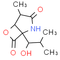 Clasto-Lactacystin β-lactone