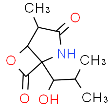 Clasto-Lactacystin β-lactone
