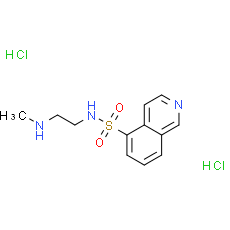 H-8 (hydrochloride)