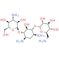 Kanamycin A