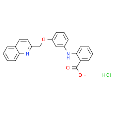 SR 2640 hydrochloride