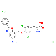 JPH203 Dihydrochloride