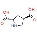 L-trans-2, 4-PDC