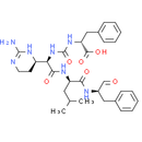 Chymostatin