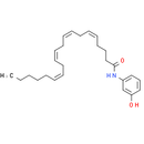 N-(3-hydroxyphenyl)-Arachidonoyl amide
