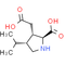 Dihydrokainic acid