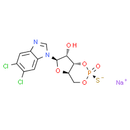 Sp-5, 6-dichloro-cBIMPS (sodium salt)