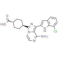 OXA-01