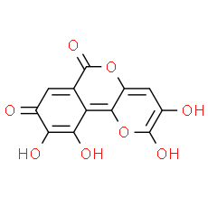 Galloflavin