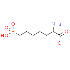 DL-AP7