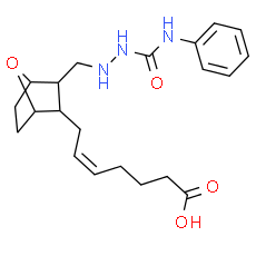 SQ 29, 548