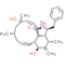 Cytochalasin J