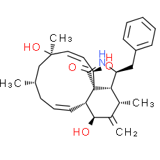 Cytochalasin J