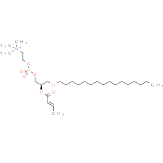 Butenoyl PAF