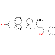 24(R)-hydroxy Cholesterol