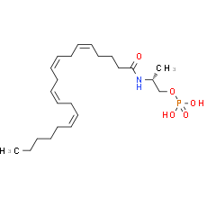 R-1 Methanandamide Phosphate