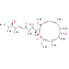 Bafilomycin D