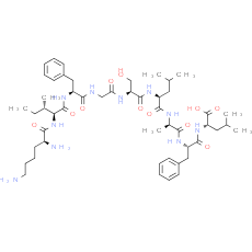 erbB-2