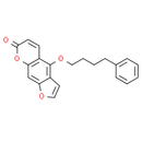 Psora 4