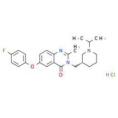 YIL 781