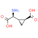 L-CCG-l