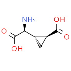 L-CCG-l