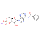 6-Bnz-cAMP sodium salt