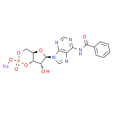 6-Bnz-cAMP sodium salt