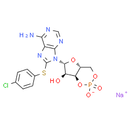 8-CPT-Cyclic AMP (sodium salt)