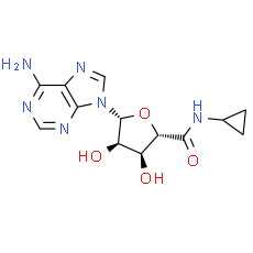 5'-(N-Cyclopropyl)carboxamidoadenosine