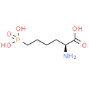 L-AP6