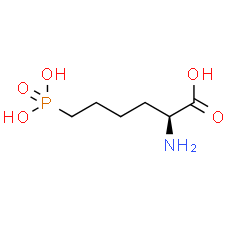 L-AP6