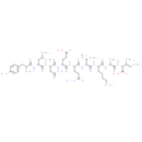 ferritin heavy chain fragment [Multiple species]