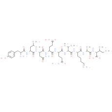 ferritin heavy chain fragment [Multiple species]