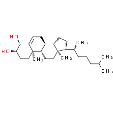 4β-hydroxy Cholesterol