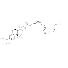 Arachidonic Acid Leelamide
