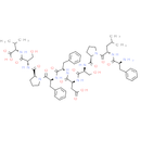 HBcAg [Hepatitis B virus] (18-27)