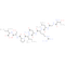 hemagglutinin (332-340) [Influenza A virus]