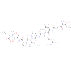 hemagglutinin (332-340) [Influenza A virus]