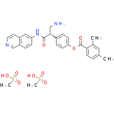 AR-13324 analog mesylate