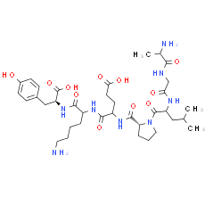 amyloid A protein fragment [Homo sapiens]