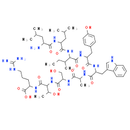 immunoglobulin light chain variable region fragment [Homo sapiens]/[Mus musculus]